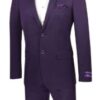 Men purple 2-piece suit